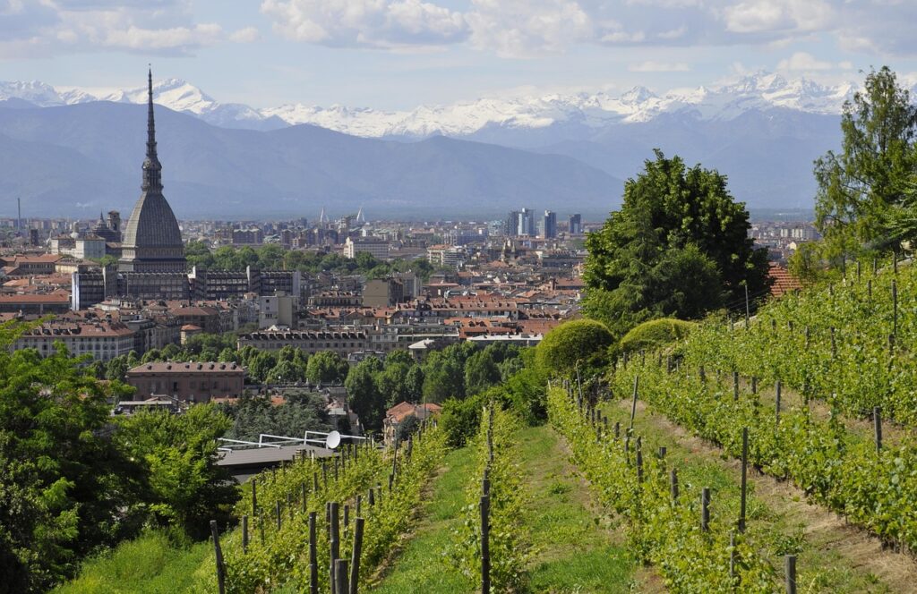 Nonmisvegliate torino 2994538 1280.jpg
